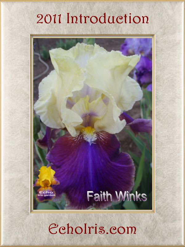 Faith Winks